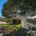 Hotel apartamentowy Marconi 7 Golfo Aranci