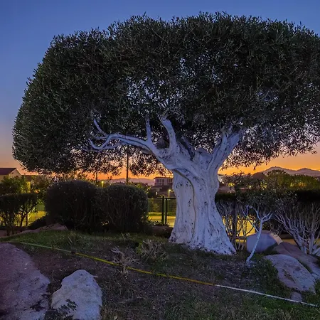 Marconi 7 Golfo Aranci